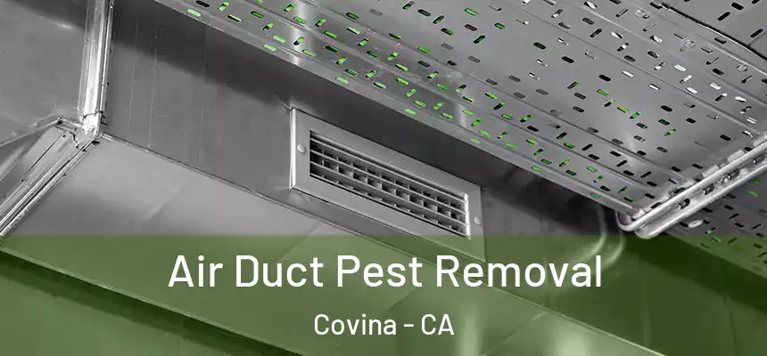 Air Duct Pest Removal Covina - CA