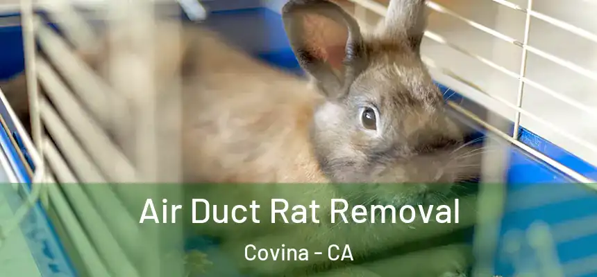  Air Duct Rat Removal Covina - CA