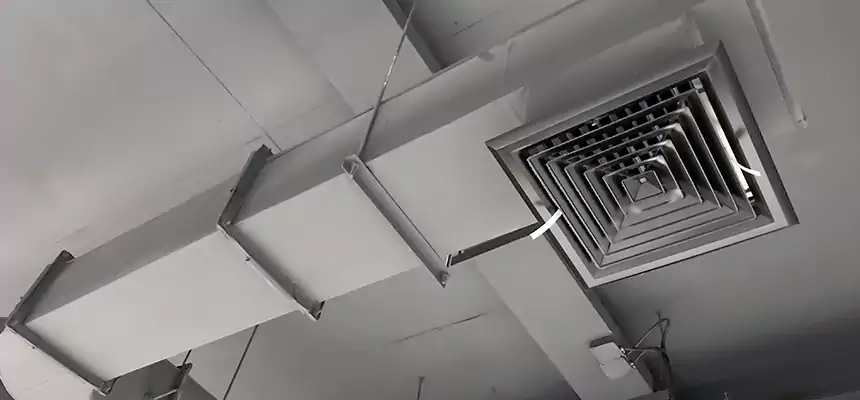 Our Pest Removal From Ducts Services in Covina, CA