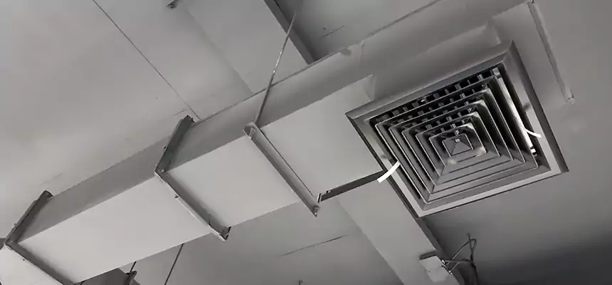 Our Rodent Droppings In Vents Services in Covina, CA