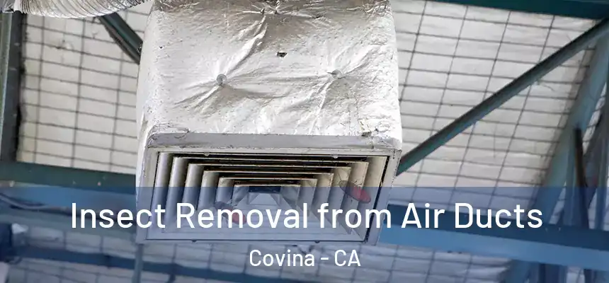  Insect Removal from Air Ducts Covina - CA