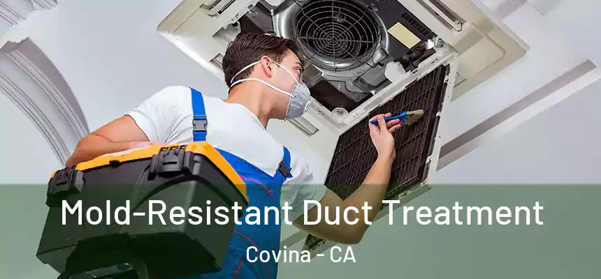  Mold-Resistant Duct Treatment Covina - CA