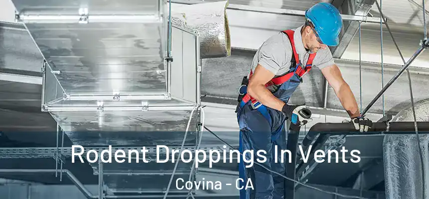  Rodent Droppings In Vents Covina - CA