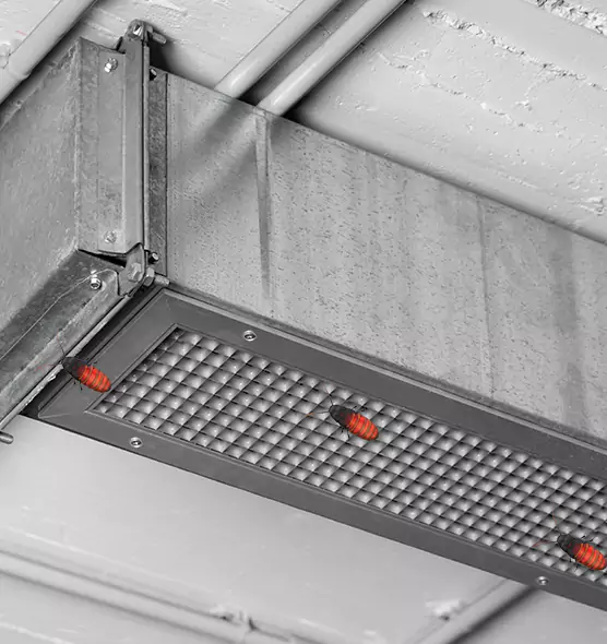 Affordable Insect Removal from Air Ducts in Covina, CA