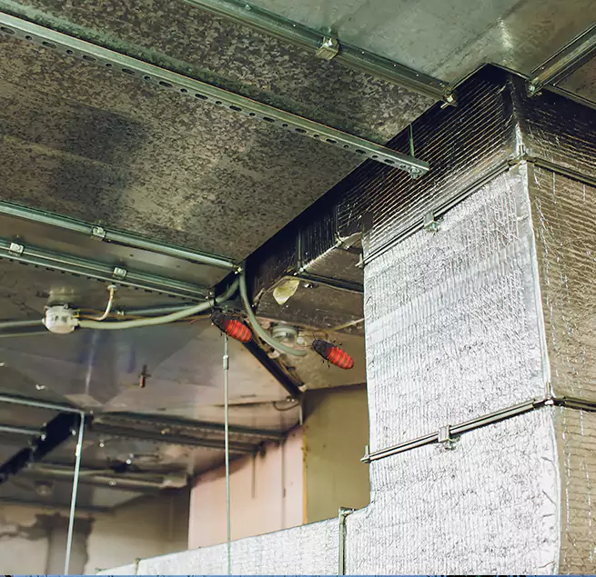 Why Homeowners & Businesses Trust Us in Covina, CA?