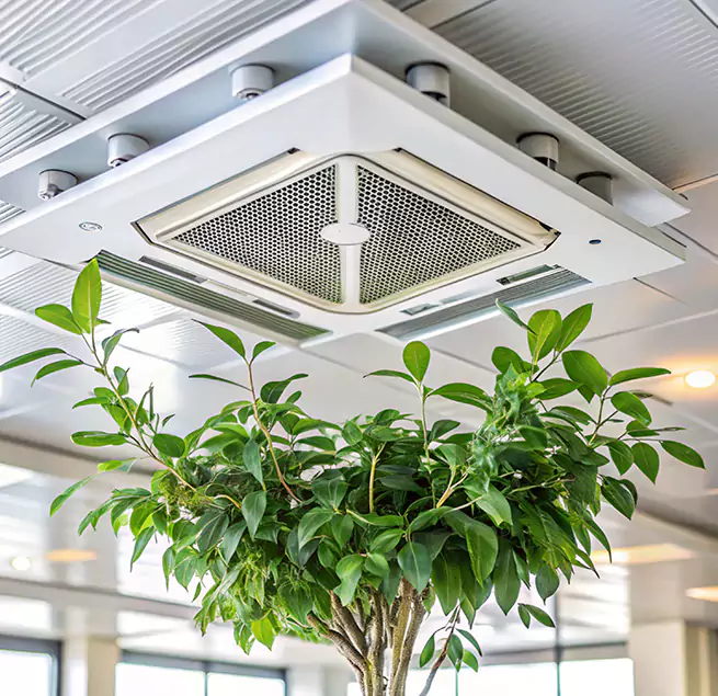 Why Homeowners & Businesses Trust Us in Covina, CA?